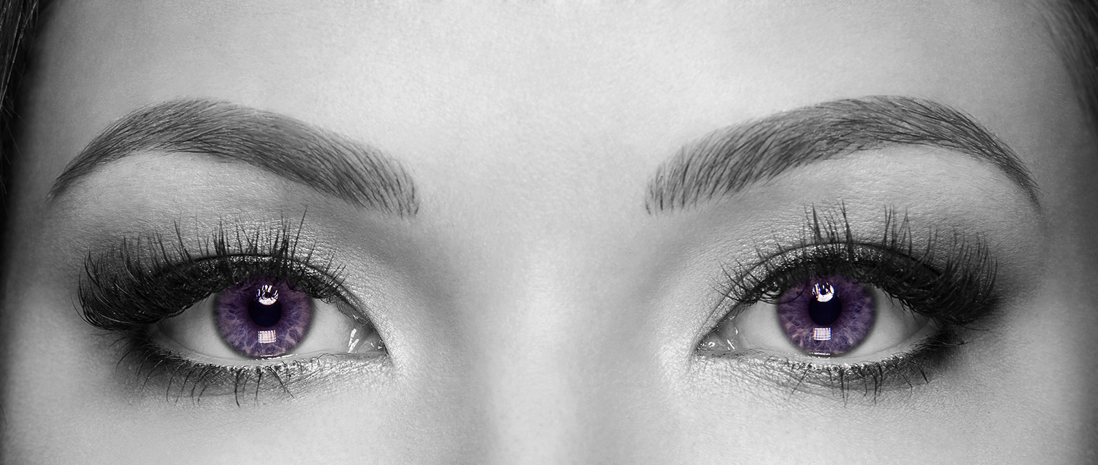 Contact Brows by Clare